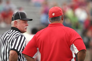 1xBit体育官网入口-阿根廷国家队主教练换帅,球员反应不一,2020阿根廷国家队主教练