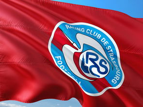 1xBit体育教练-帕尔梅拉斯技战术演练密集,冲刺冠军全力以赴